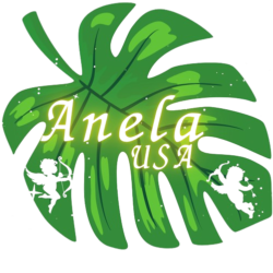 Anela-USA-logo